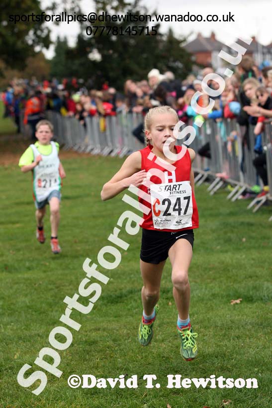 Girls under-11s Northern Cross Country Relays, Graves Park, Sheffield. Photo: David T. Hewitson/Sports for All Pics